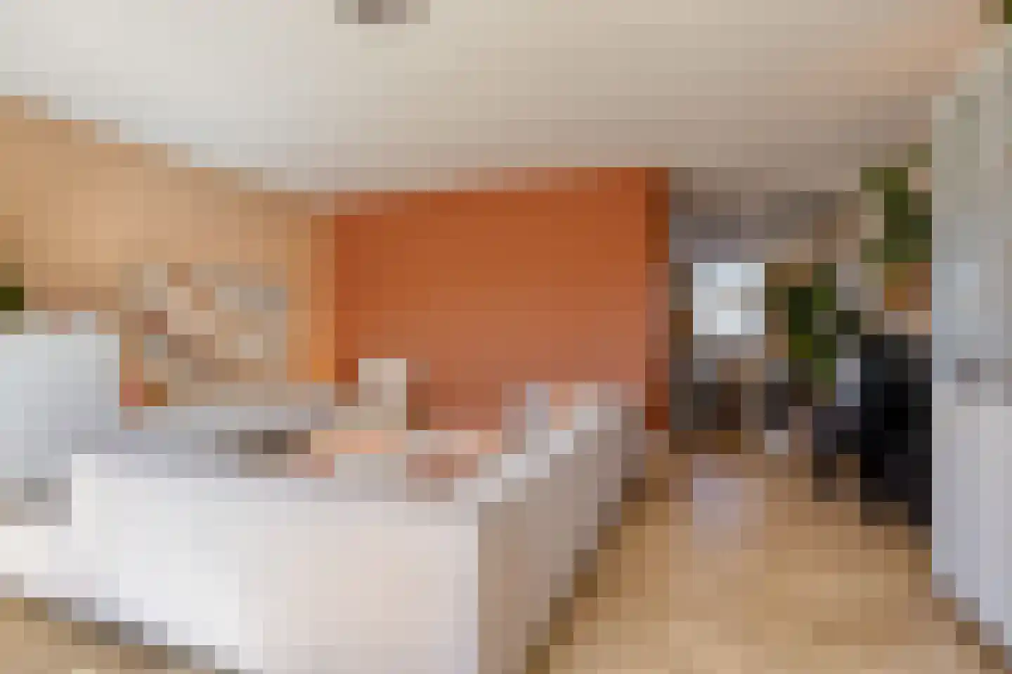 Emmalaan 30 Zuidhorn thumbnail 9
