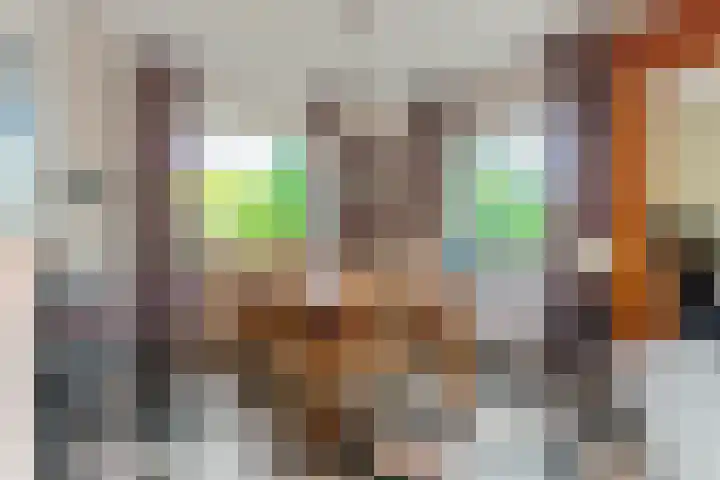 Emmalaan 31 Geldermalsen thumbnail 13