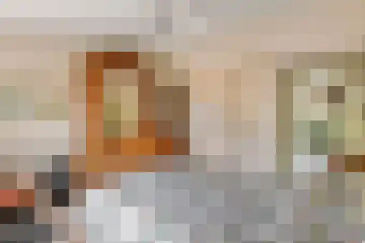 Emmalaan 31 Geldermalsen thumbnail 19