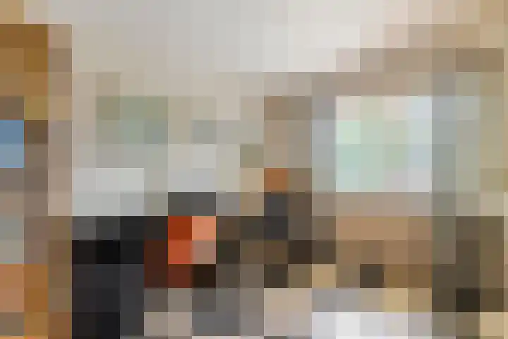 Emmalaan 31 Geldermalsen thumbnail 20