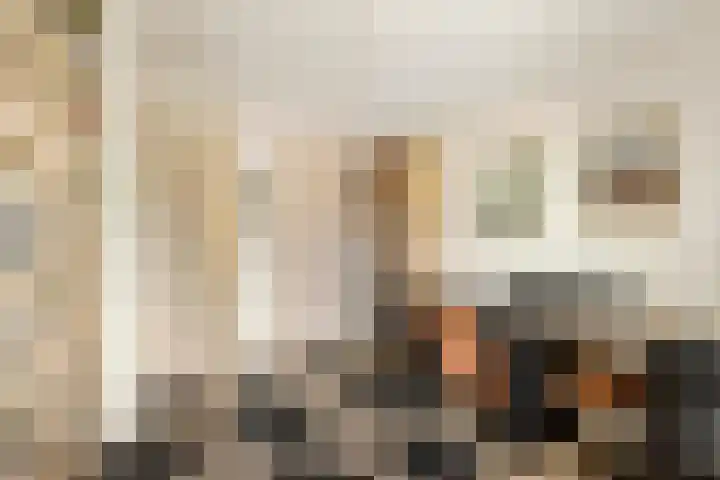 Emmalaan 31 Geldermalsen thumbnail 22