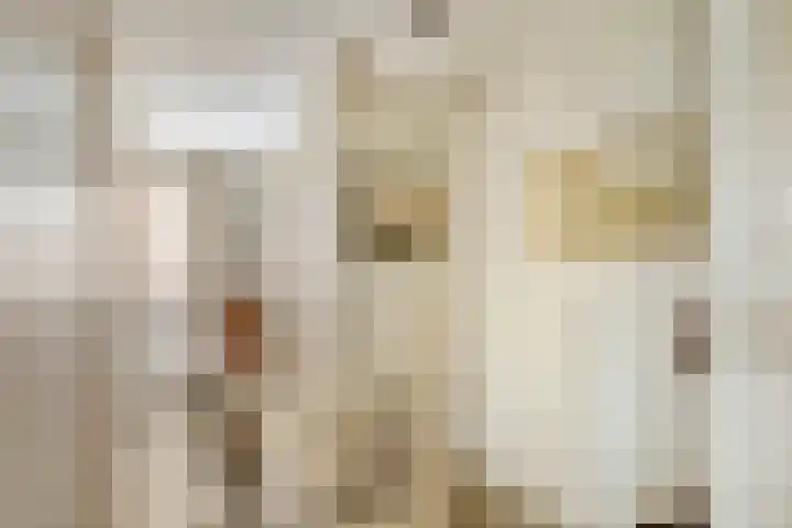 Emmalaan 31 Geldermalsen thumbnail 24