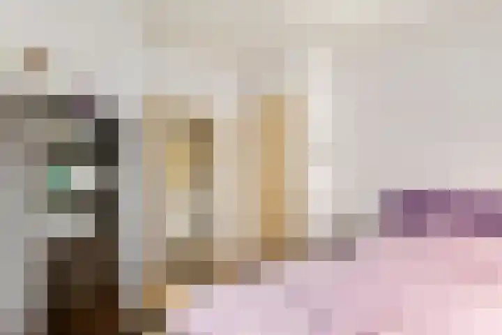 Emmalaan 31 Geldermalsen thumbnail 26