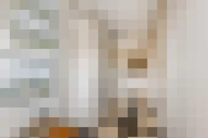 Emmalaan 31 Geldermalsen thumbnail 27