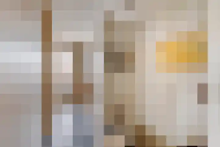 Emmalaan 31 Geldermalsen thumbnail 28