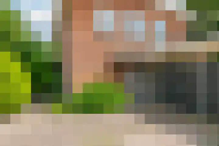 Emmalaan 31 Geldermalsen thumbnail 33
