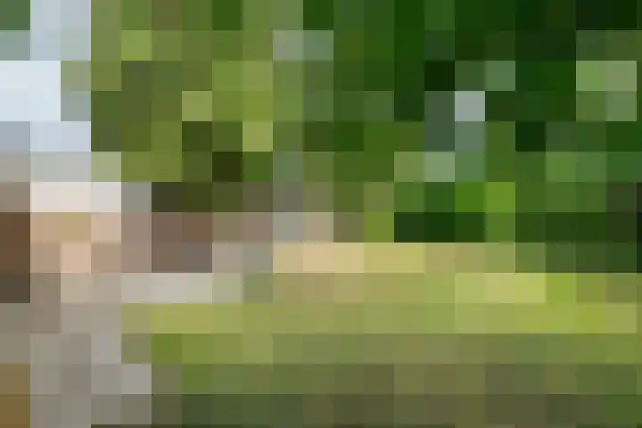 Emmalaan 31 Geldermalsen thumbnail 35