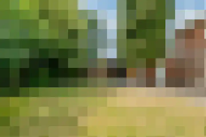 Emmalaan 31 Geldermalsen thumbnail 36