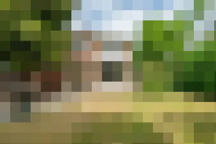 Emmalaan 31 Geldermalsen thumbnail 37