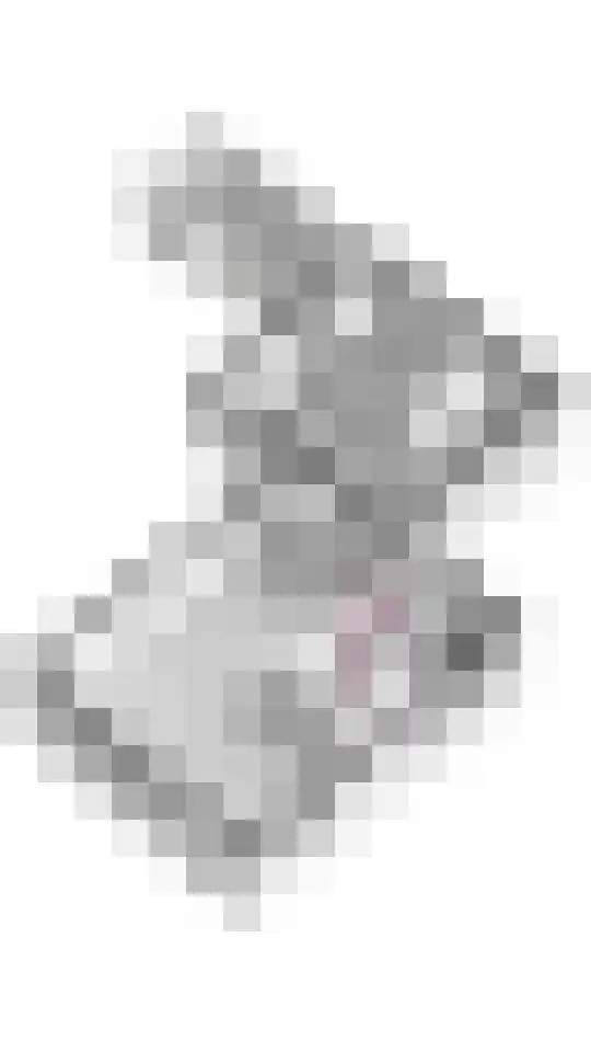 Emmalaan 31 Geldermalsen thumbnail 39