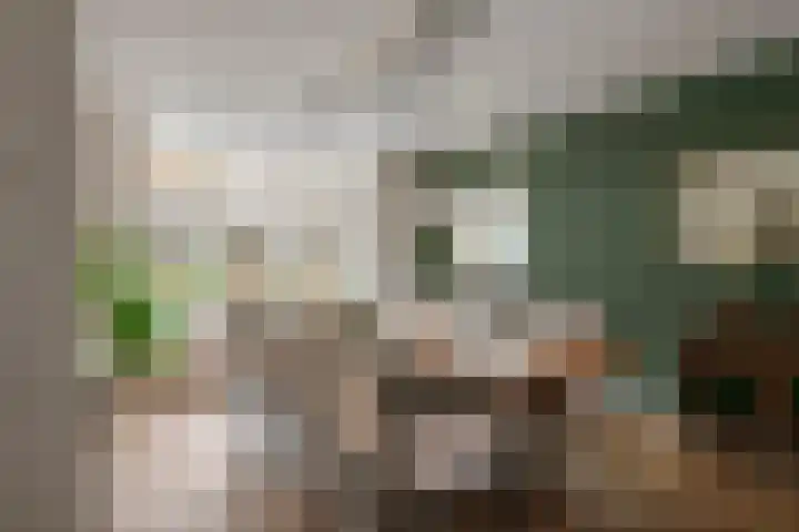 Emmalaan 32 Geldermalsen thumbnail 10