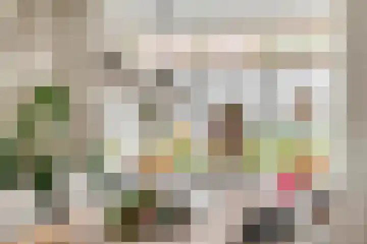 Emmalaan 32 Geldermalsen thumbnail 11