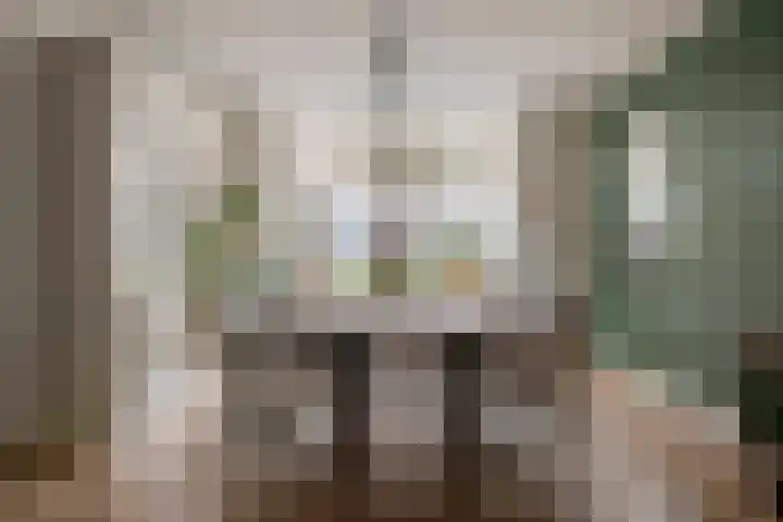 Emmalaan 32 Geldermalsen thumbnail 12