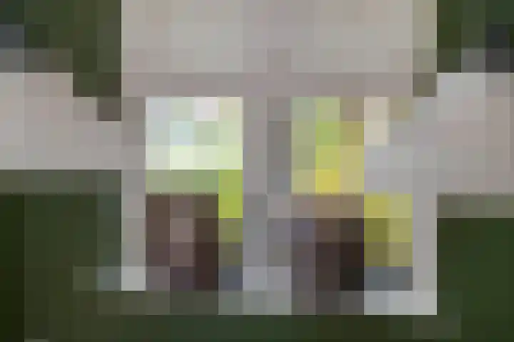 Emmalaan 32 Geldermalsen thumbnail 13