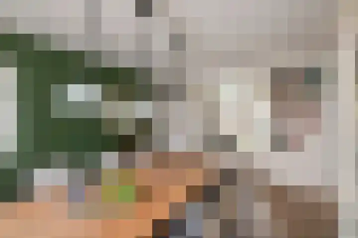Emmalaan 32 Geldermalsen thumbnail 14