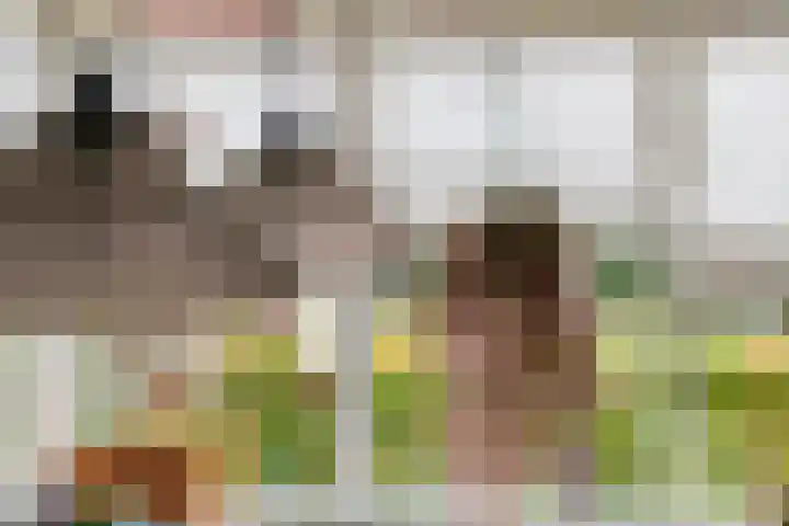 Emmalaan 32 Geldermalsen thumbnail 15