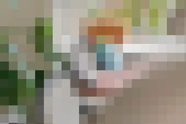 Emmalaan 32 Geldermalsen thumbnail 17