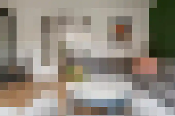 Emmalaan 32 Geldermalsen thumbnail 18