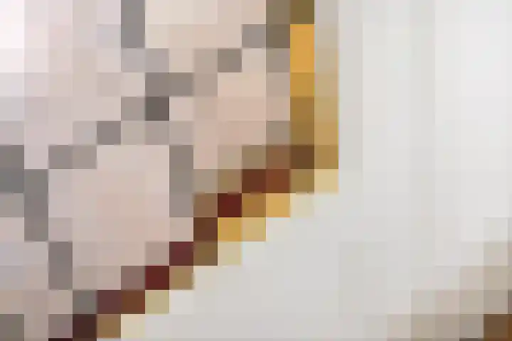 Emmalaan 32 Geldermalsen thumbnail 20