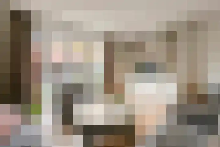 Emmalaan 32 Geldermalsen thumbnail 22