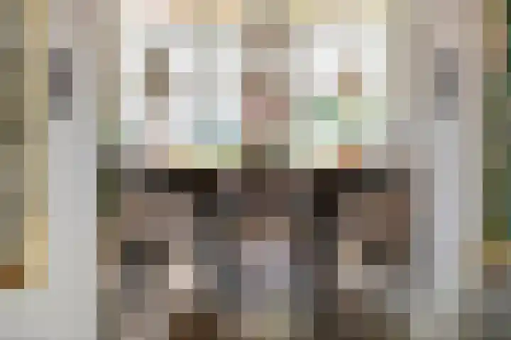 Emmalaan 32 Geldermalsen thumbnail 23