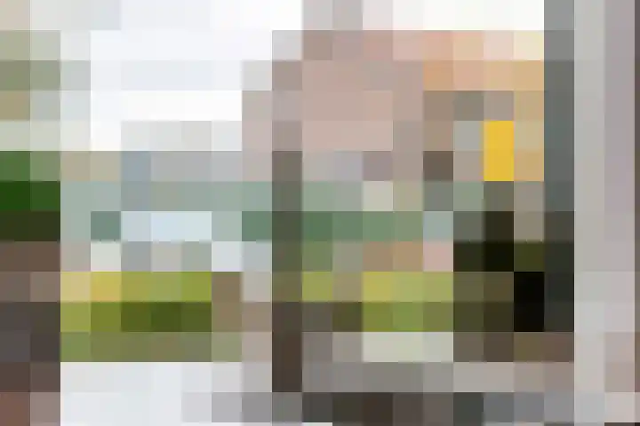 Emmalaan 32 Geldermalsen thumbnail 28