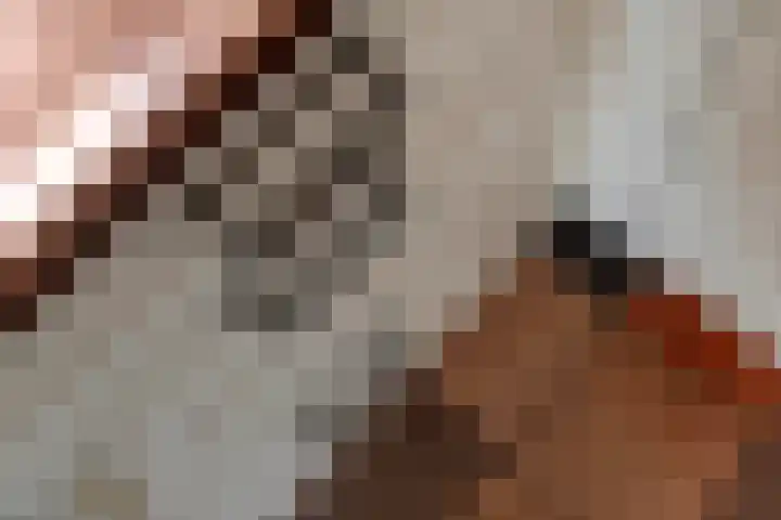 Emmalaan 32 Geldermalsen thumbnail 29