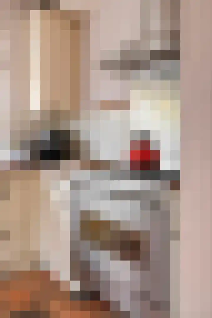 Emmalaan 32 Geldermalsen thumbnail 31