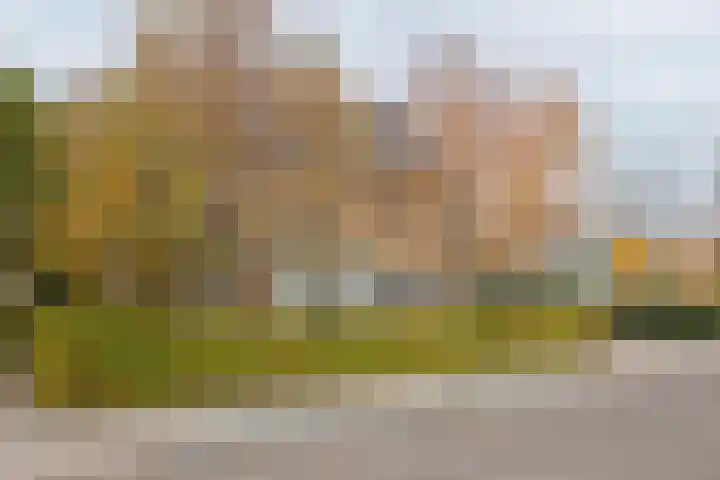 Emmalaan 32 Geldermalsen thumbnail 34