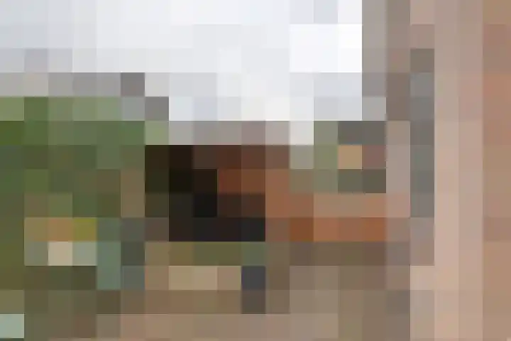 Emmalaan 32 Geldermalsen thumbnail 36