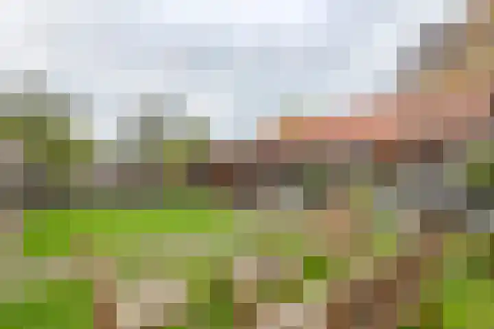 Emmalaan 32 Geldermalsen thumbnail 38