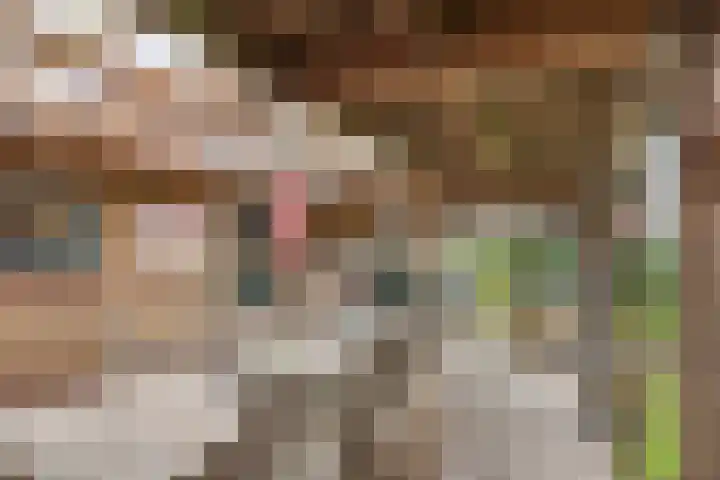 Emmalaan 32 Geldermalsen thumbnail 39