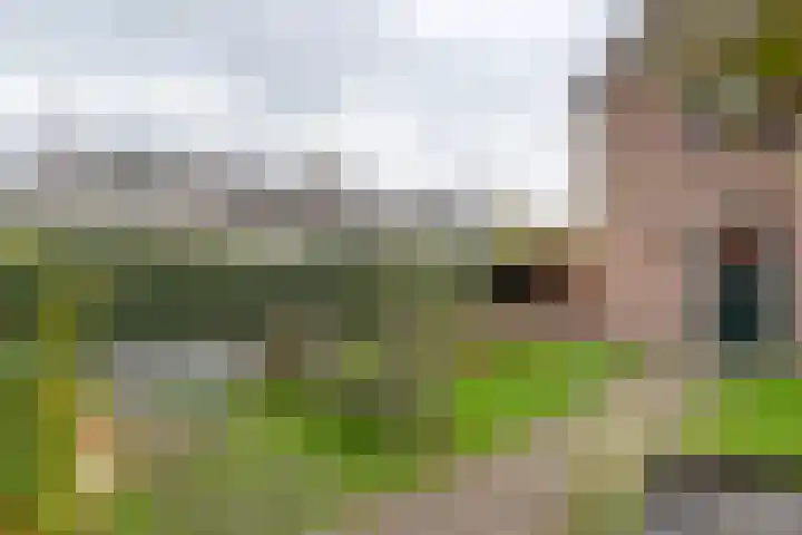 Emmalaan 32 Geldermalsen thumbnail 41