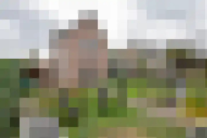 Emmalaan 32 Geldermalsen thumbnail 42