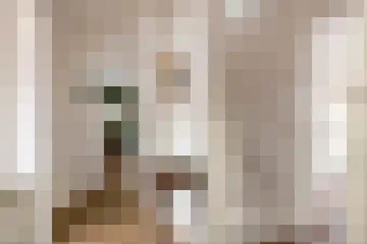 Emmalaan 32 Geldermalsen thumbnail 44