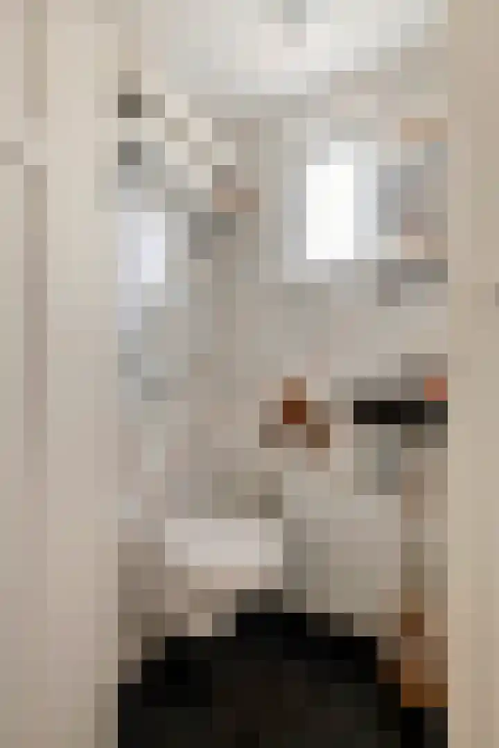 Emmalaan 32 Geldermalsen thumbnail 45