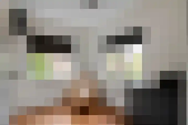 Emmalaan 32 Geldermalsen thumbnail 48
