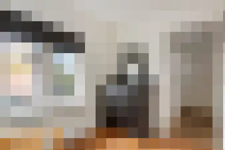 Emmalaan 32 Geldermalsen thumbnail 49