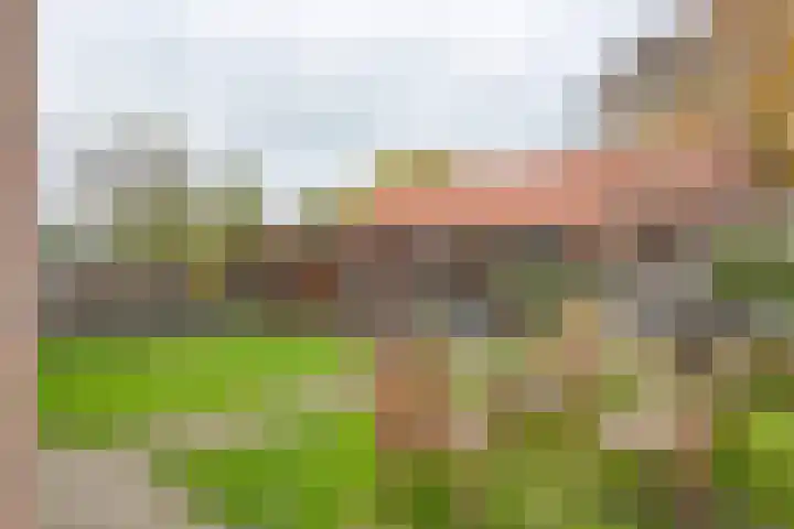 Emmalaan 32 Geldermalsen thumbnail 5