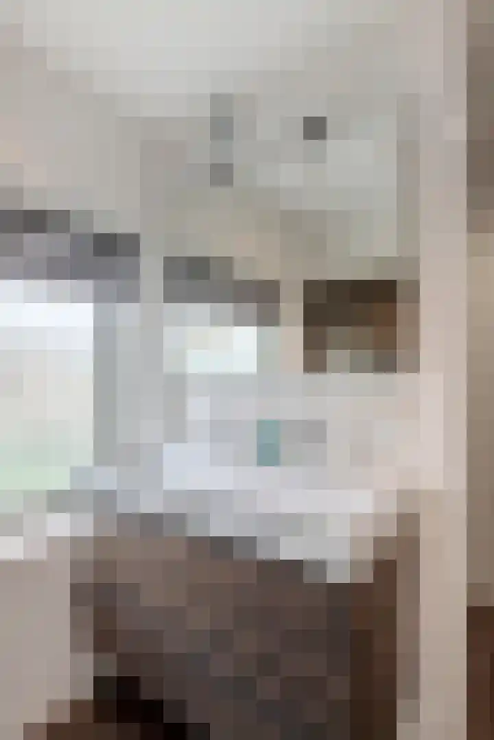 Emmalaan 32 Geldermalsen thumbnail 57