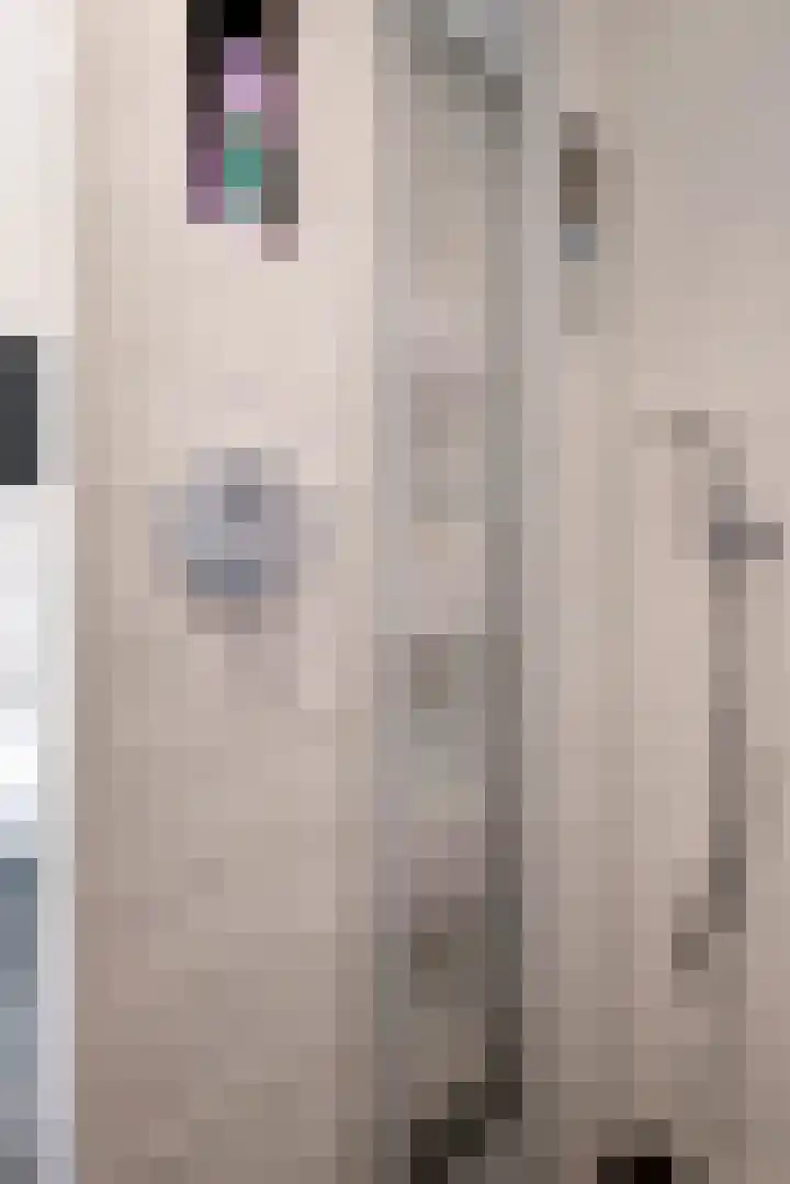 Emmalaan 32 Geldermalsen thumbnail 59