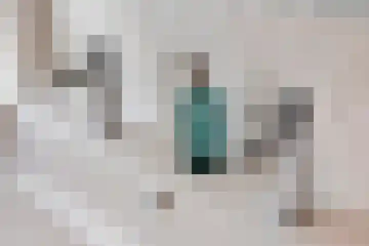 Emmalaan 32 Geldermalsen thumbnail 60