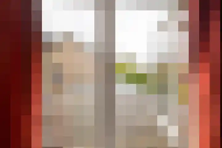 Emmalaan 32 Geldermalsen thumbnail 64