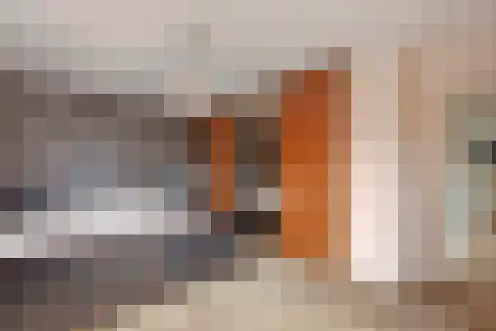 Emmalaan 32 Geldermalsen thumbnail 65