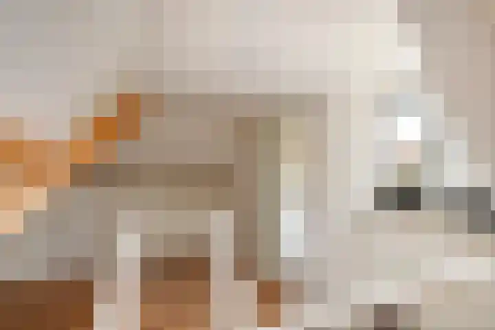 Emmalaan 32 Geldermalsen thumbnail 69