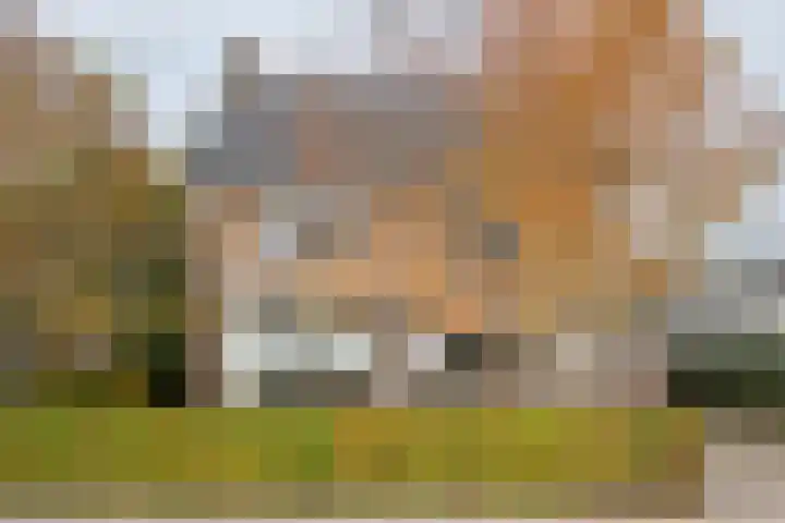 Emmalaan 32 Geldermalsen thumbnail 7