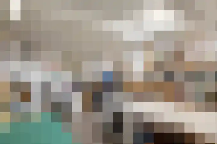 Emmalaan 32 Geldermalsen thumbnail 71