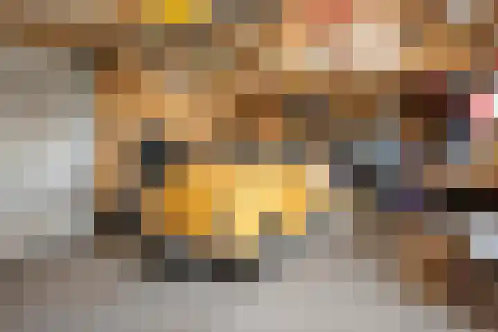 Emmalaan 32 Geldermalsen thumbnail 73
