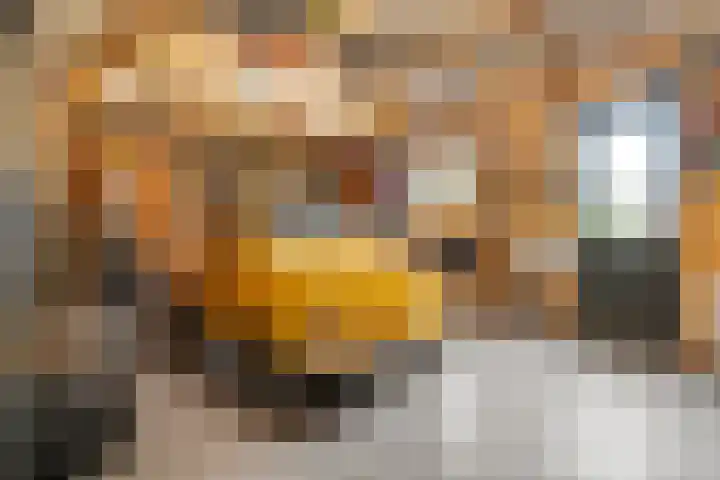 Emmalaan 32 Geldermalsen thumbnail 74