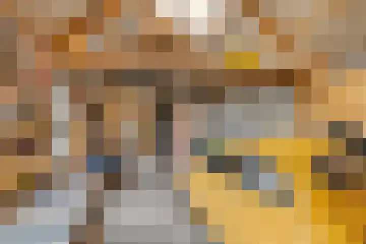 Emmalaan 32 Geldermalsen thumbnail 75